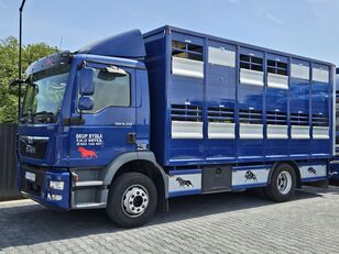 nákladní vozidlo na přepravu zvířat MAN TGM 15.250