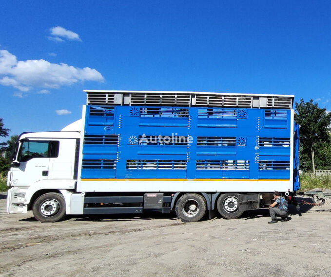 nákladní vozidlo na přepravu zvířat MAN TGS 26.480 Pezzaioli 2 Decks