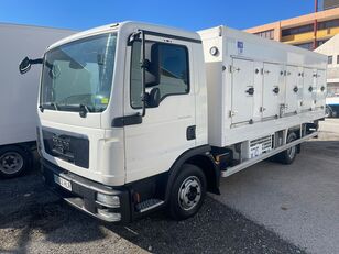 nákladní vozidlo na převoz zmrzliny MAN TGL 8.180 HELADERO