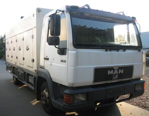 nákladní vozidlo na převoz zmrzliny MAN 8.163